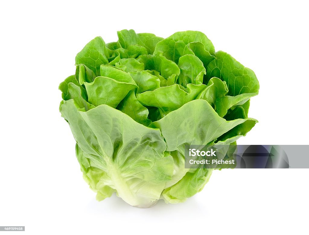 집안 살림 꿀팁 포스터