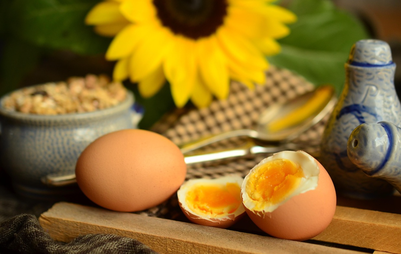 완전식품의 최고봉 달걀