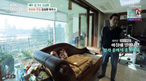김성환 재산