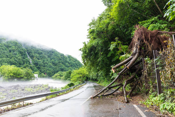 2025년 경기도청 풍수해·지진재해보험 완벽 가이드: 신청 방법부터 지원 혜택까지!!