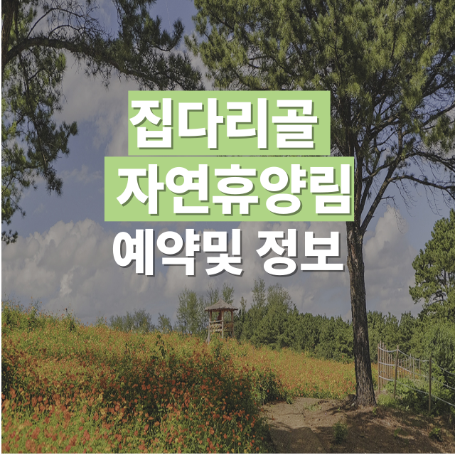 집다리골자연휴양림 예약 방법｜공식 홈페이지 및 꿀팁 안내