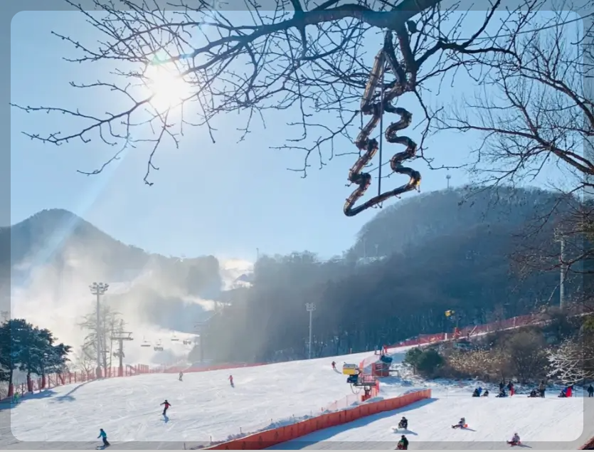 이천 지산포레스트 스키장