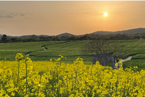 폭싹 속았수다 촬영지