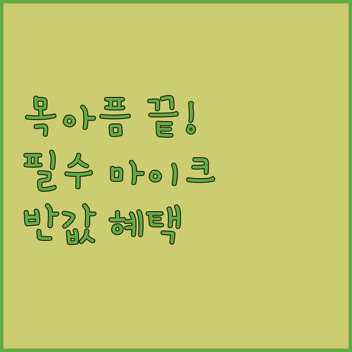 선생님 목 보호를 위한 강의용 무선 ..