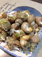 접시에-한가득-담긴-소라와-골뱅이