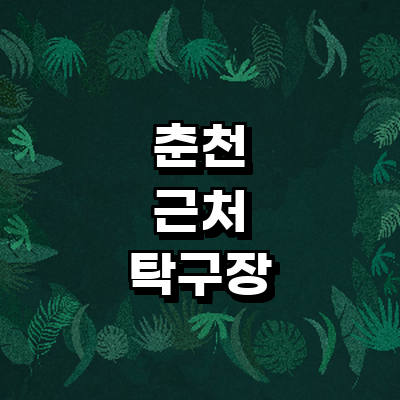 춘천시 탁구장