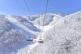 겨울 여행지