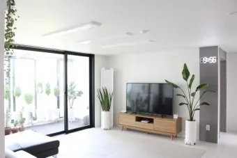 플랜테리어 거실 식물배치 물주기 습도관리 초보 인테리어 팁_9