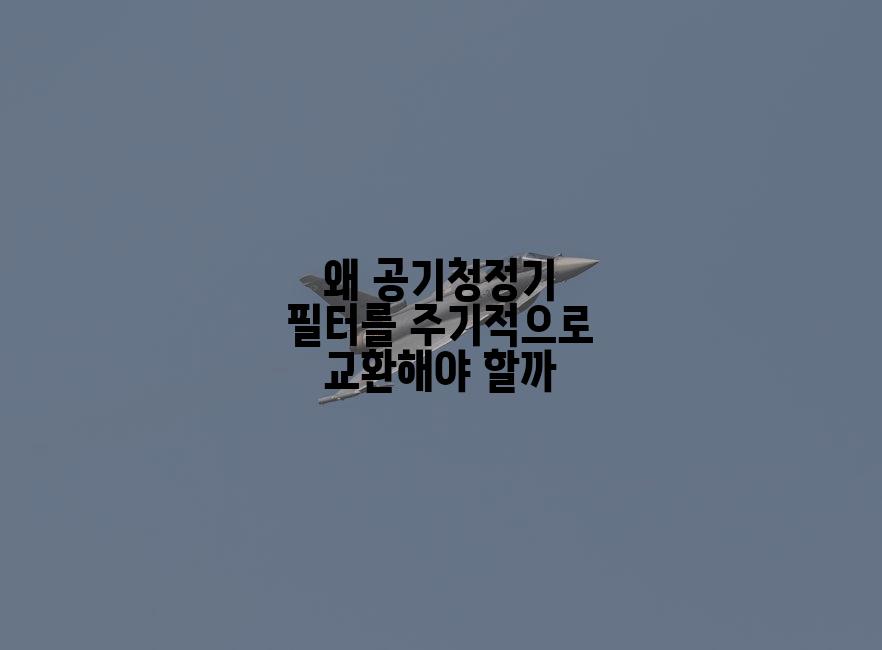 왜 공기청정기 필터를 주기적으로 교환해야 할까