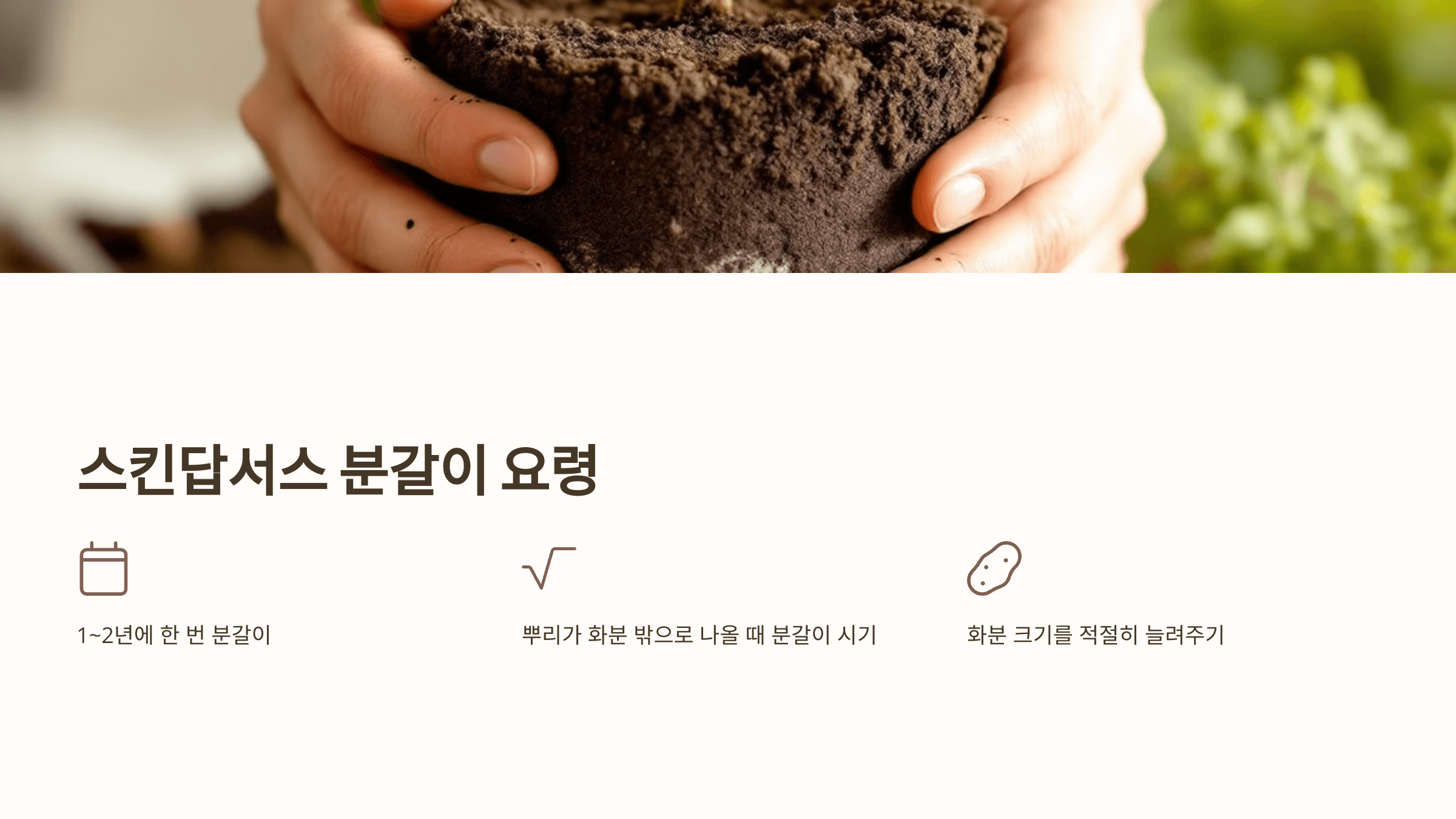 스킨답서스와 관련된 사진입니다.