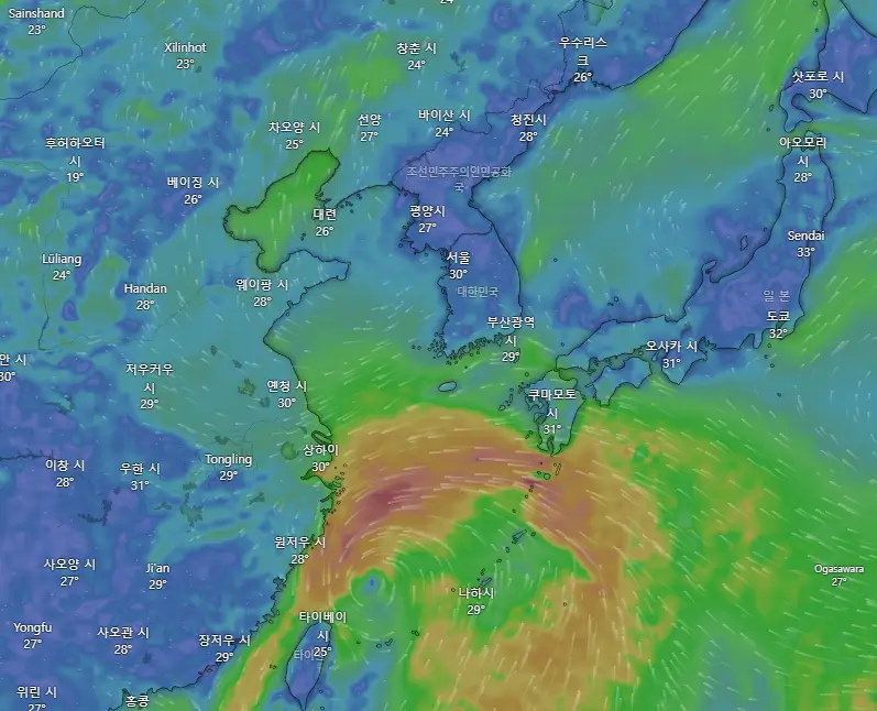 태풍 7호 프란시스코