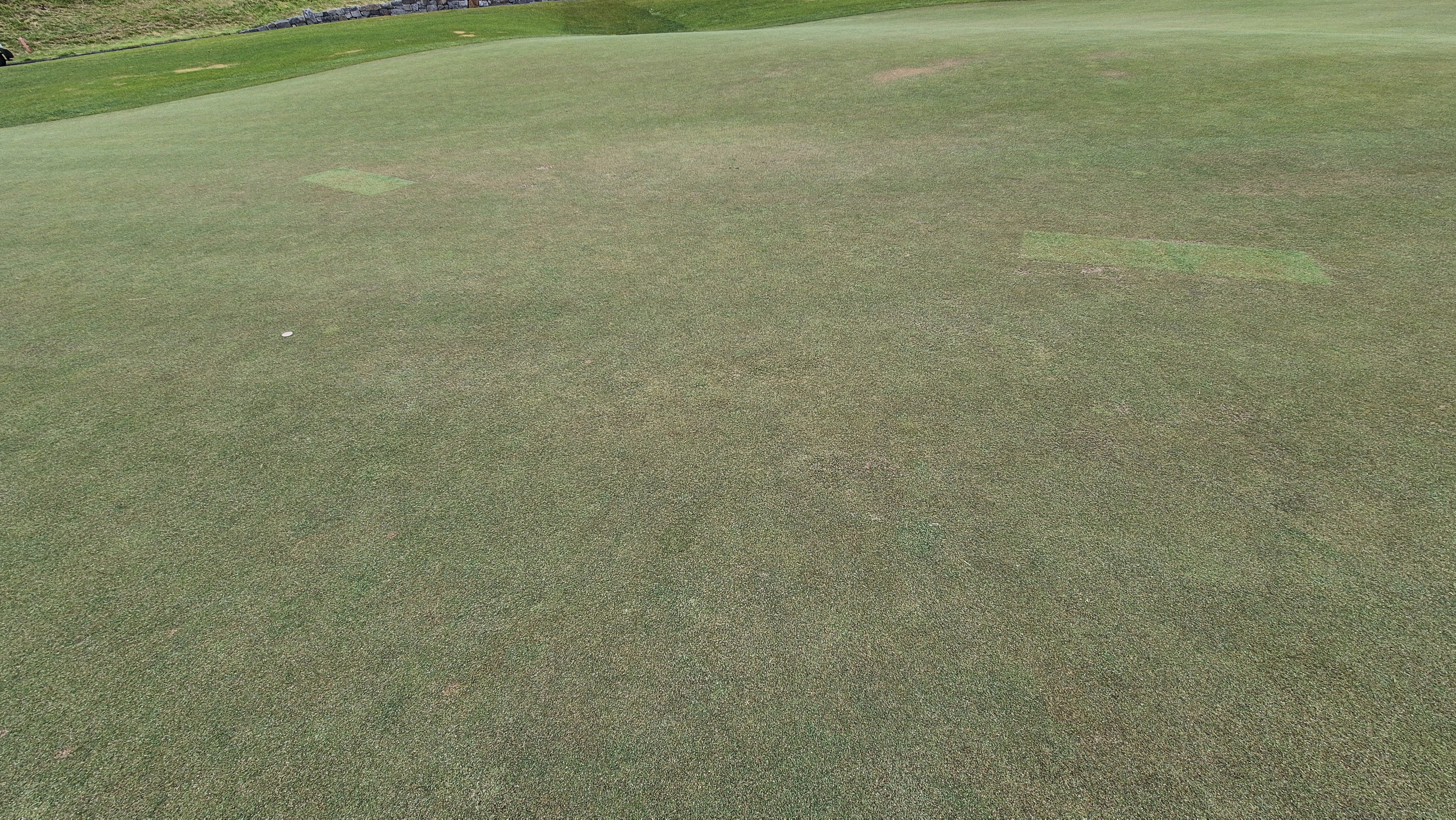 샴발라cc 라운드 후기