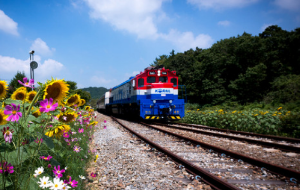 여행가는 달 철도 및 항공 카셰어링 할인