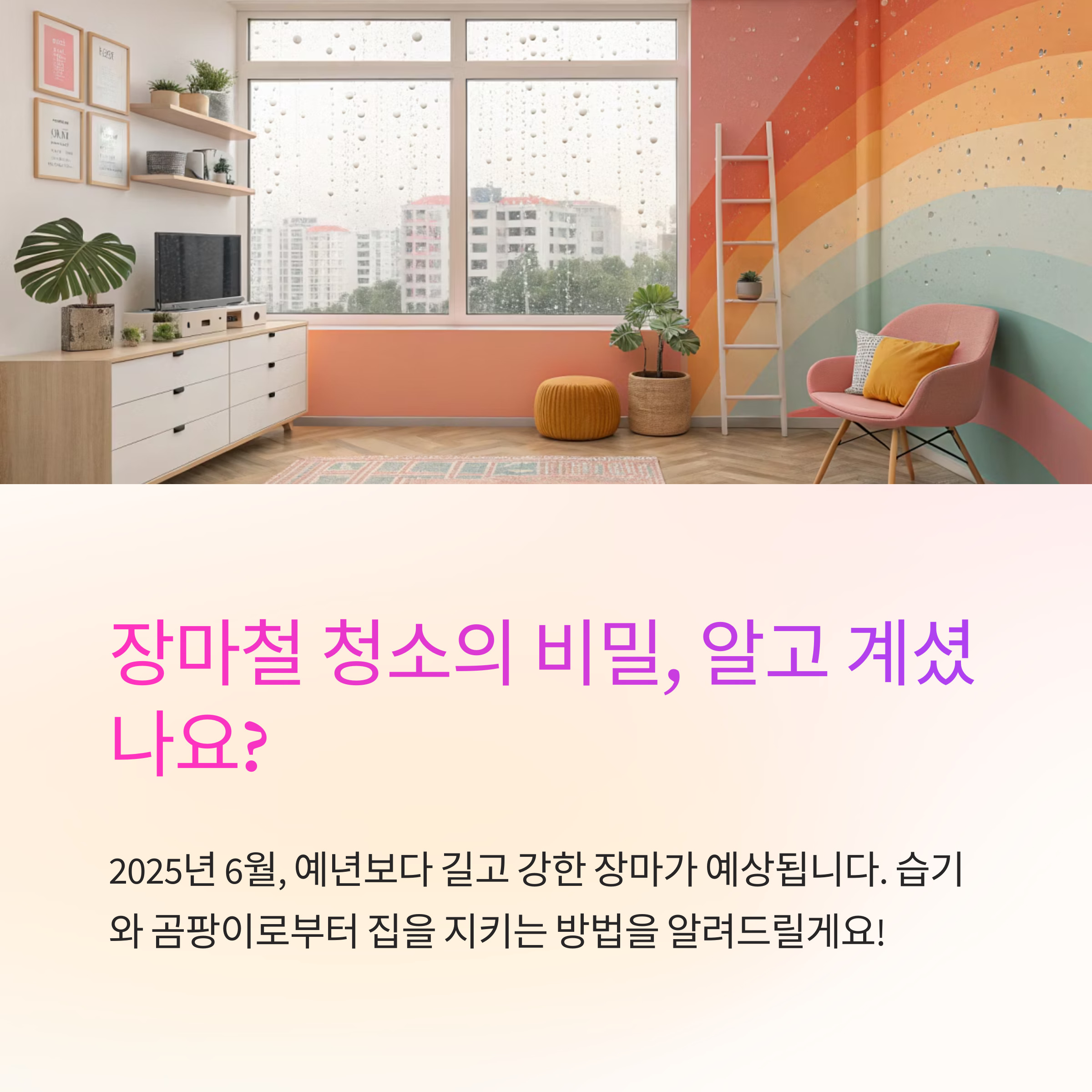 2025년 6월 장마기간 대비 청소법