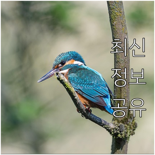 적정 타이어 공기압 확인 및 관리 요