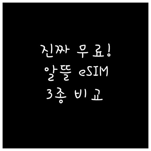 진짜 무료 알뜰폰 eSIM 이벤트 3..