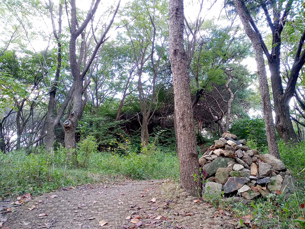 걷기 기부챌린지는 울산 산업고등학교