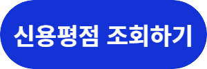 소액생계비대출
