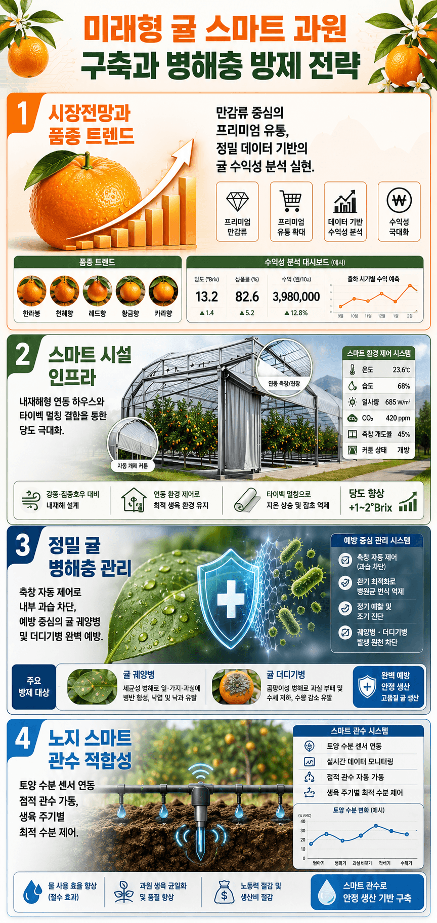 미래형 귤 성공전략 인포그래픽