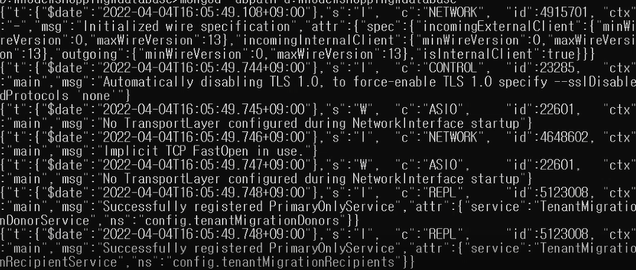 5. cmd에 입력 (DB 생성)
