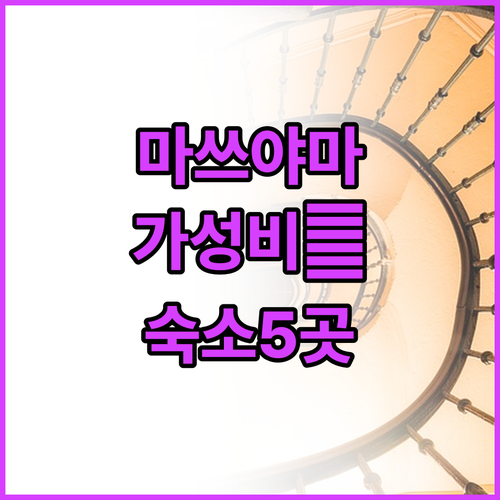 일본 마쓰야마 호텔 추천 위치 좋은 ..