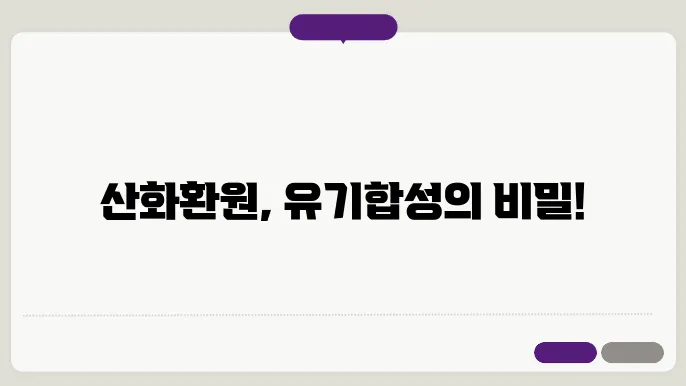 유기 합성에서의 산화와 환원 반응