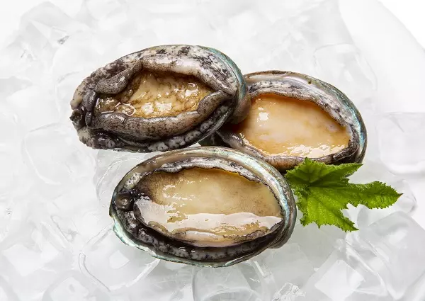 전복(Abalone)