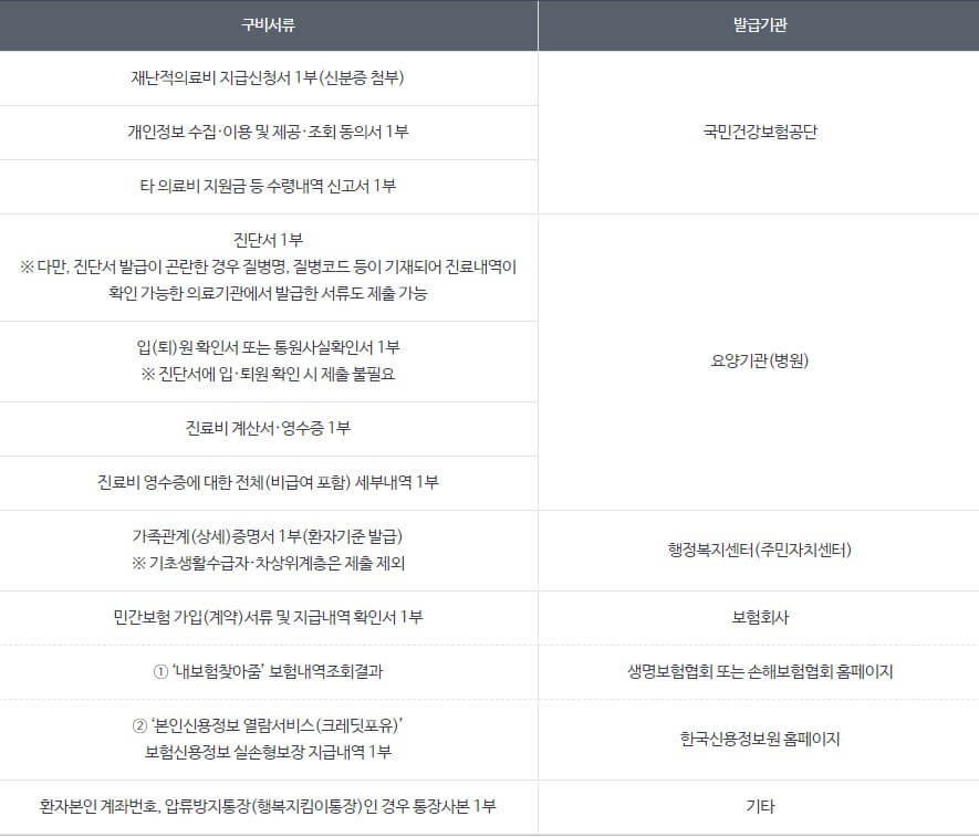 재난적의료비 지원사업 (4)