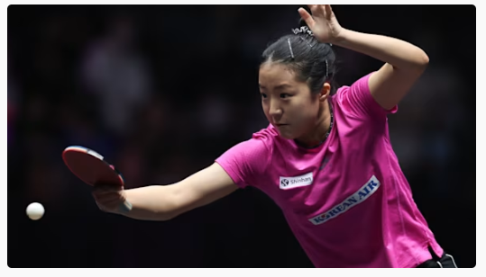 파리올림픽 한국출전 종목