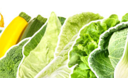 루테인 지아잔틴