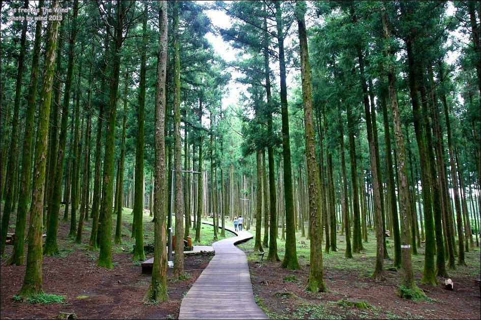 서귀포자연휴양림 수목원 관람 가이드 ❘ 이용 정보·관람 시간·방문 전 주의사항 총정리