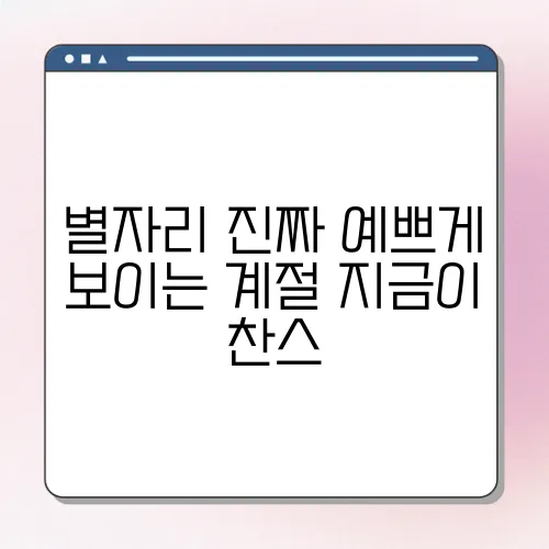 별자리 진짜 예쁘게 보이는 계절 지금이 찬스