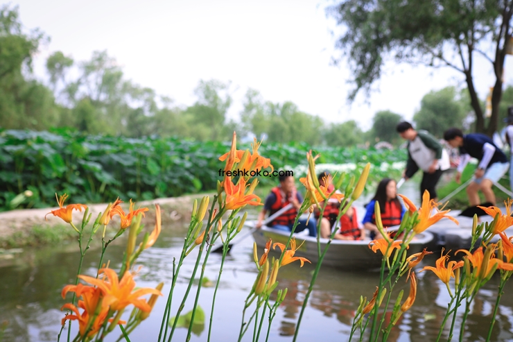 7월 축제 가볼만한곳 10곳 여행지 추천