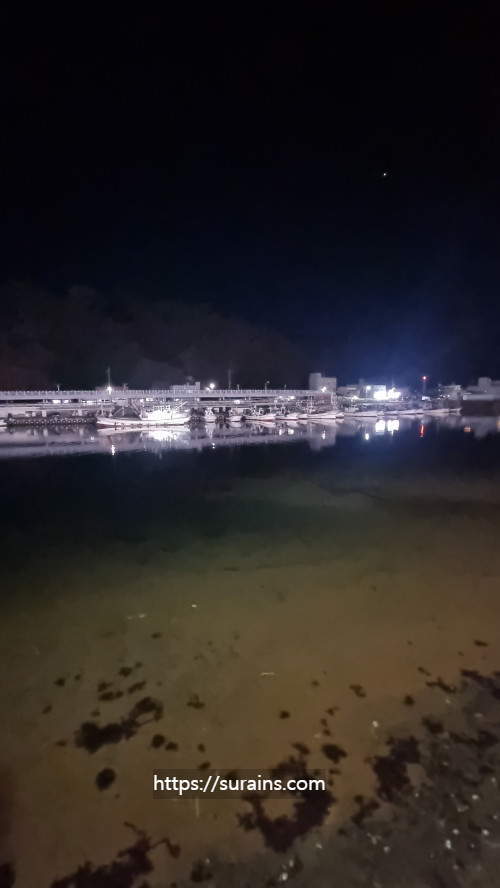 강구항 대게 영덕 맛집 청담대게 내돈내산 직접 후기