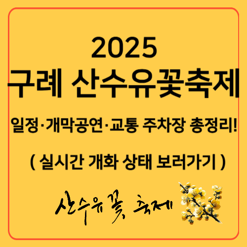 2025 구례 산수유꽃 축제 일정 개막공연 교통 주차장 총정리 대표 이미지