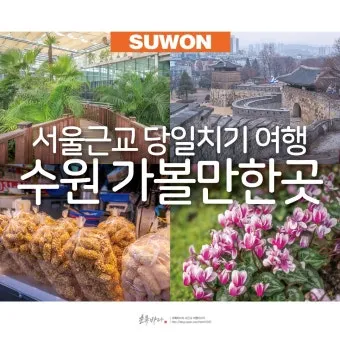 수원 가볼만한곳 추천 맛집 카페 아기랑 숨은 명소_19