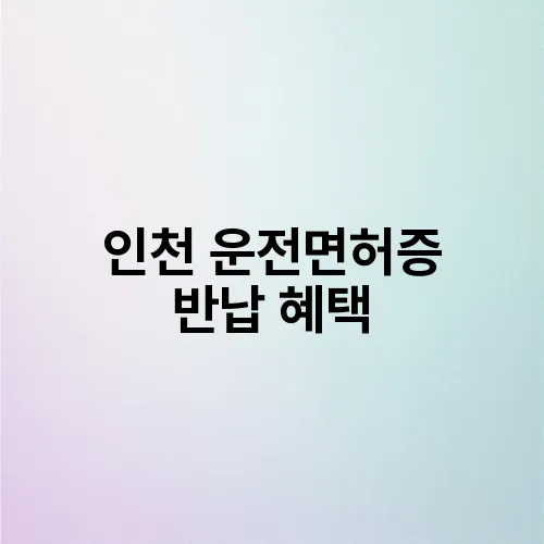 인천 운전면허증 반납 혜택