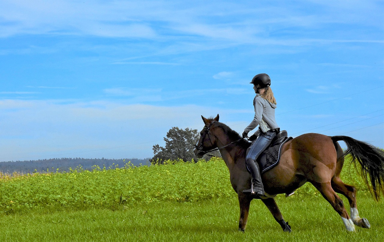 말을 타고 있는 사람