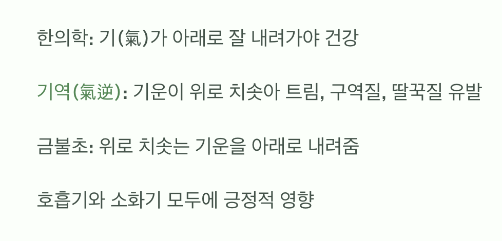 속을 편안하게, '기(氣)'를 내려주는 효능