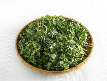 양평 용문산 산나물 축제