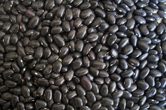 검은 콩, 서리태 기르기! 영양성분/건강이점/심는시기/수확시기/활용음식