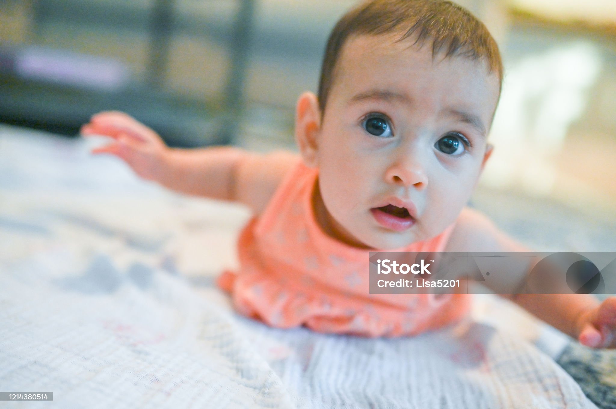 배밀이 준비 신호