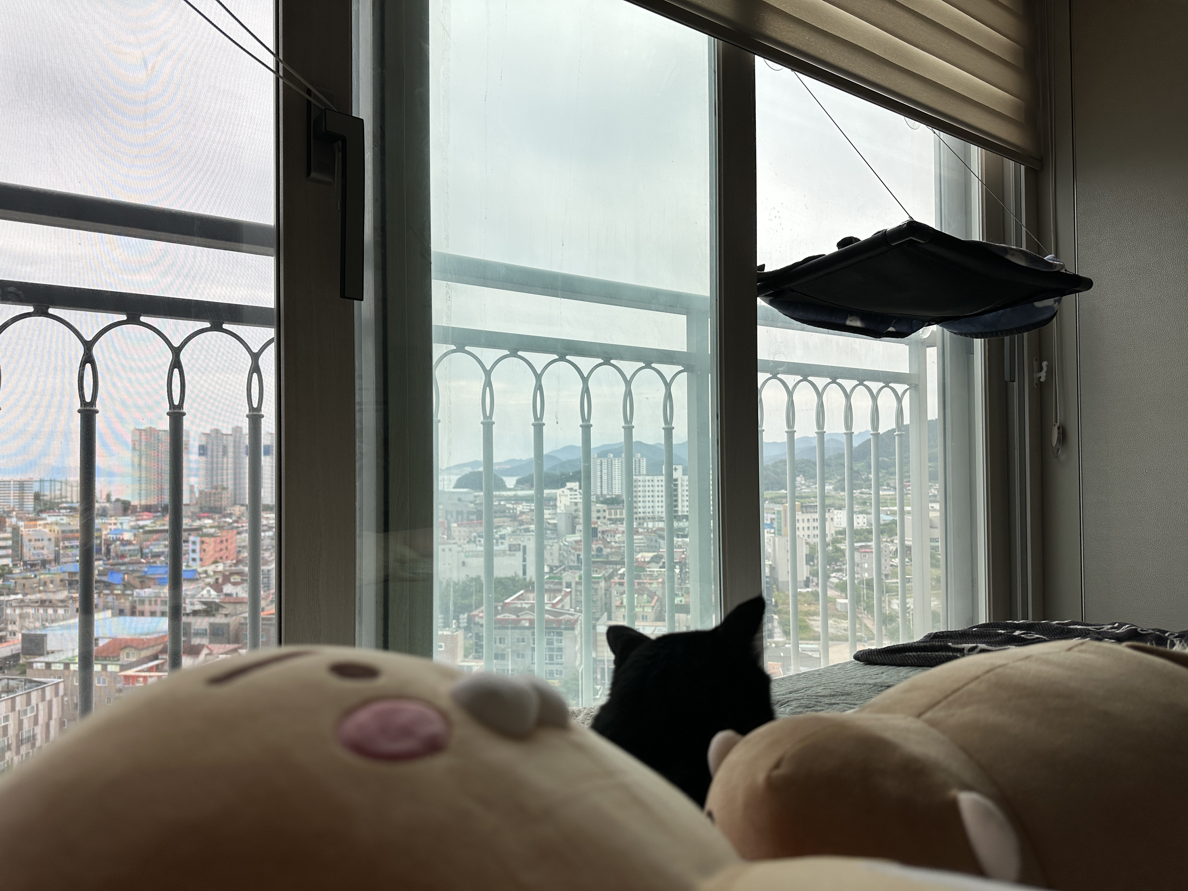 새로_업어온_물개_인형을_맘에_들어하는_건이_7