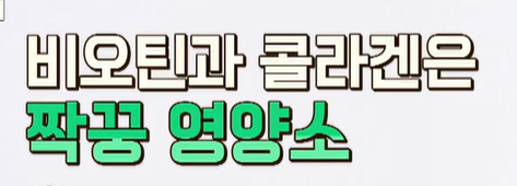 비오틴 효능 