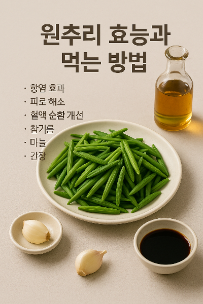 원추리의 효능과 섭취 방법