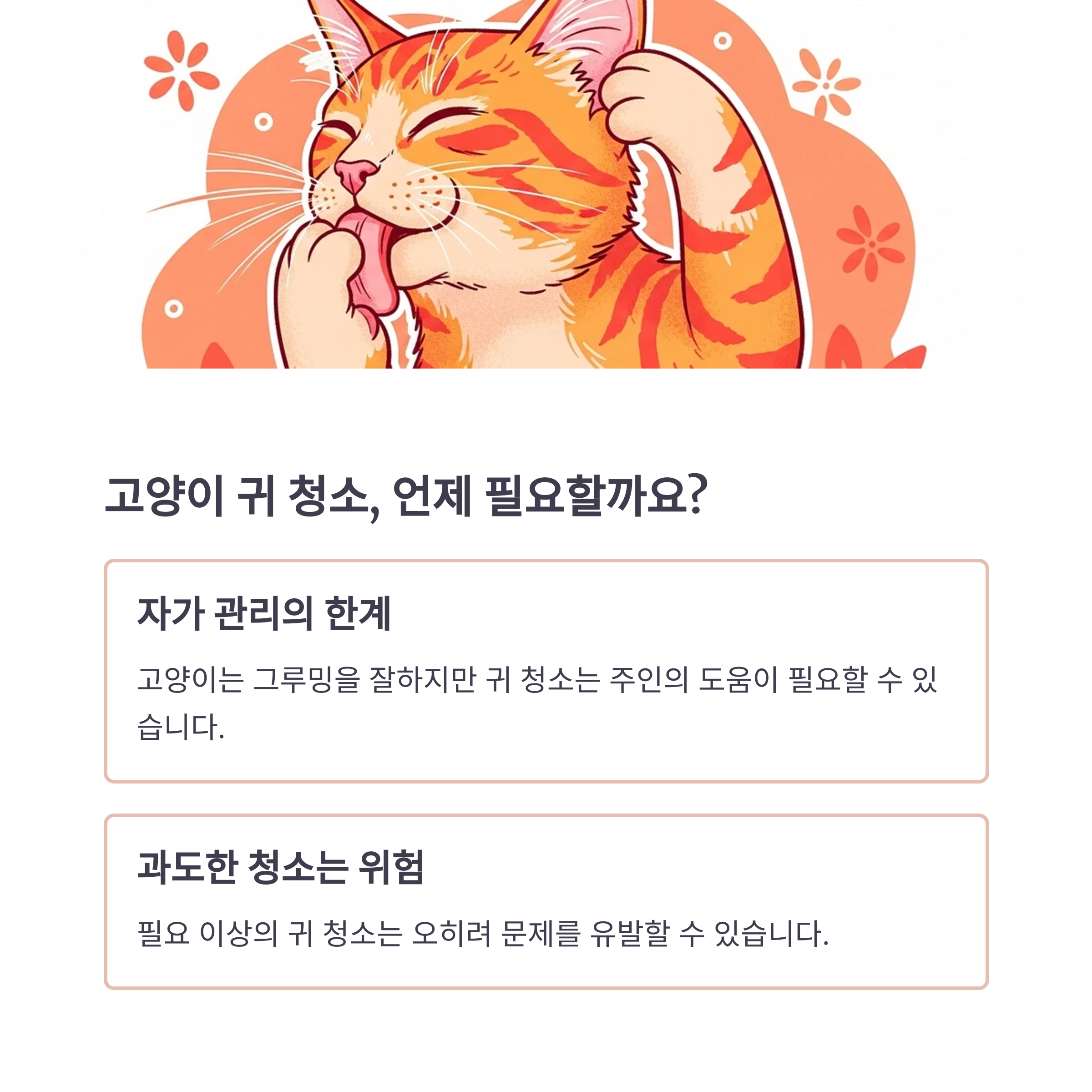 고양이 귀 청소, 언제 필요할까요?