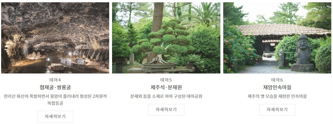 제주 한림공원 수선화 축제가 23년 1월 21일부터 2월 19일까지 제12회 수선화축제를 개최합니다.