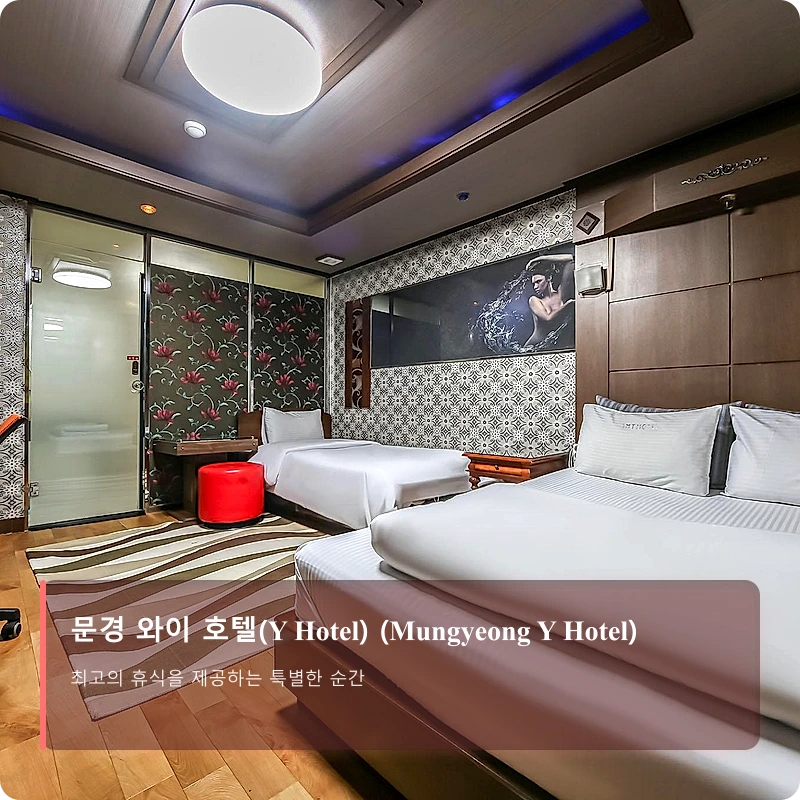 문경 와이 호텔(Y Hotel) (Mungyeong Y Hotel)_3