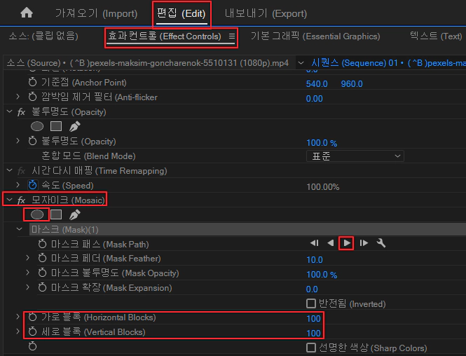 모자이크-효과에-마스크-설정