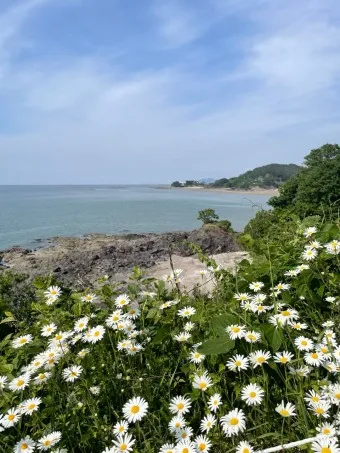부안 맛집 베스트10 진짜 제대로된 현지 맛집_24